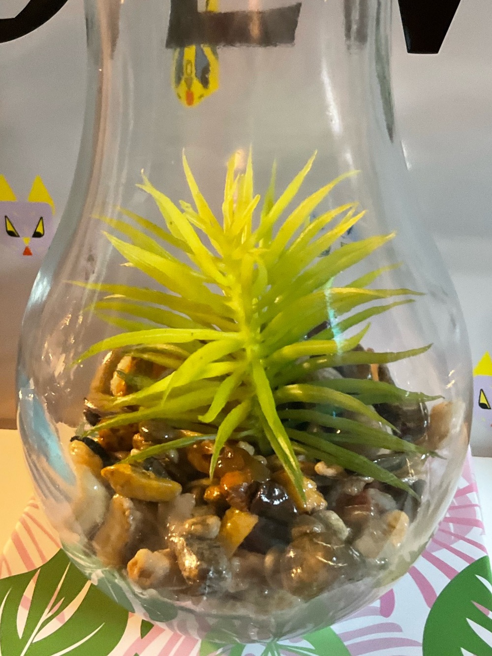 Solar Powered Glass Bulb Terrarium with Faux Succulent - Clear